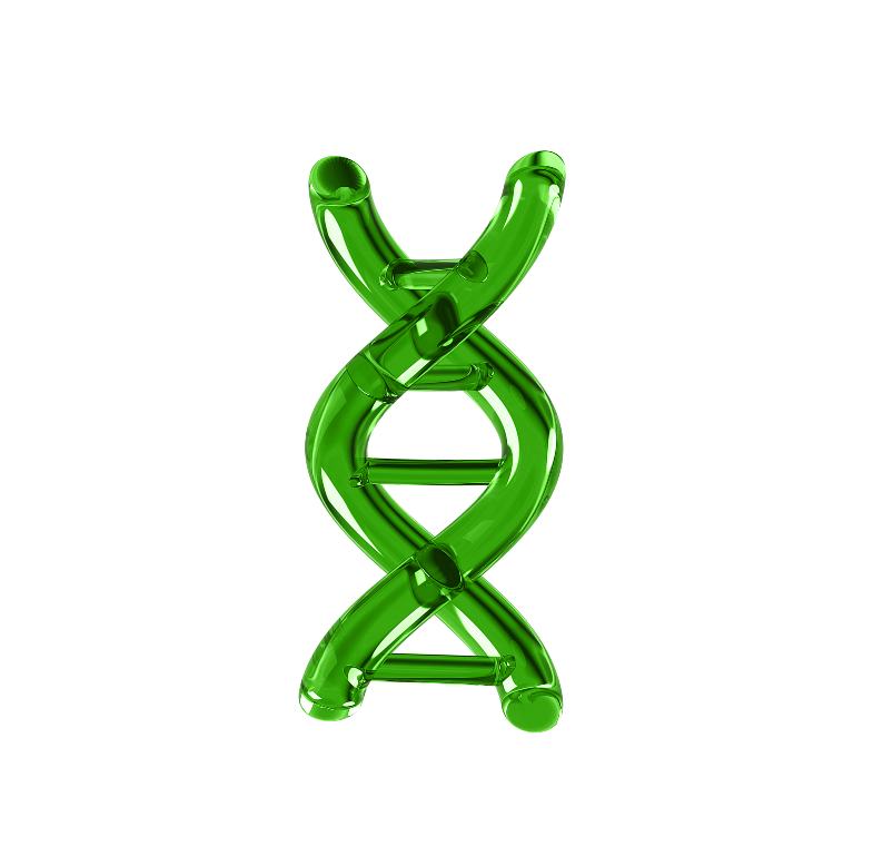DNA-Helix